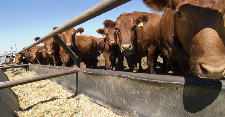 USDA lowers 2023 red meat and poultry production forecast